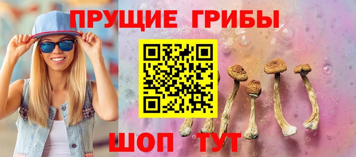 Волжск  Псилоцибиновые грибы Psilocybe  Вход с VPN 